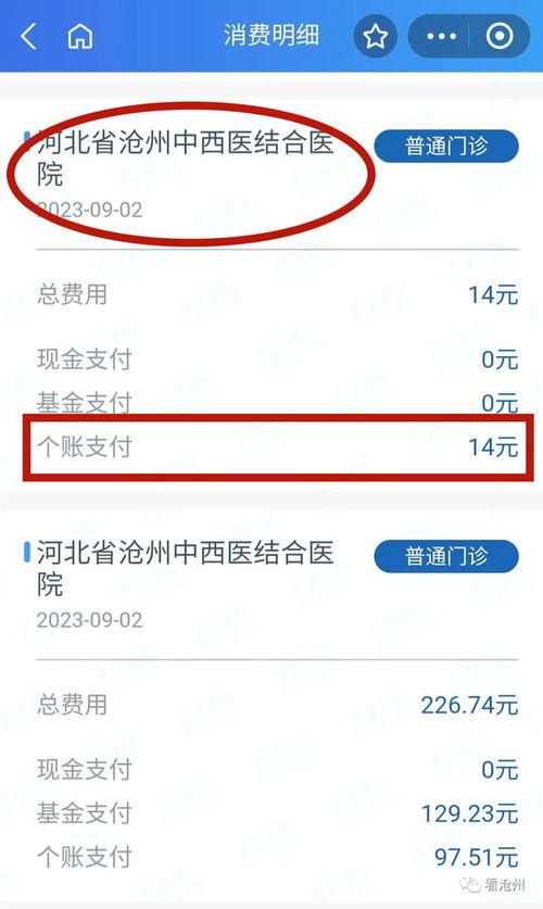沧州头条最新爆料,最新爆料事件深度解析