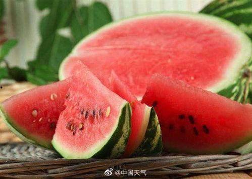 吃瓜神器自制视频大全免费,自制视频大全免费分享，轻松成为娱乐达人