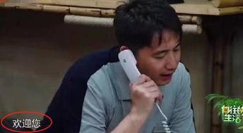 黄磊家庭爆料事件视频,揭秘明星家庭背后的真实生活