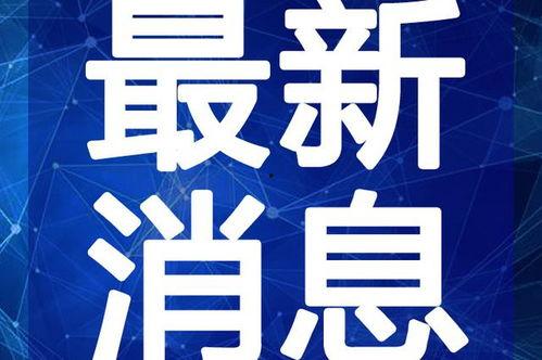 张译综艺爆料视频大全最新,揭秘娱乐圈幕后故事