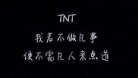 娱乐爆料社tnt,明星幕后故事大公开！