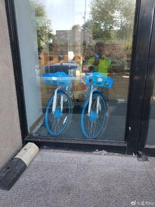 长春自行车爆料视频最新,揭秘城市交通新现象
