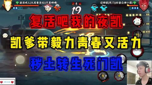 晚安姐姐夜凯爆料视频,内容深度解析